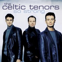 The Green Fields of France - James Nelson/Mike Moran/The Celtic Tenors/Dermot Grehan/Ronan Browne/Patrick Kernan/Gavyn Wright/Orchestra, The Celtic Tenors, Orchestra Orchestra