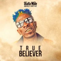 True Believer - Shatta Wale, Natty Lee, Addi Self