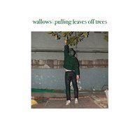 Pulling Leaves Off Trees - Wallows