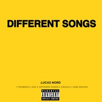 Different Songs - Lucas Nord