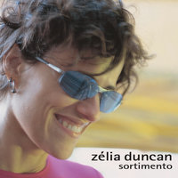 Por Que Eu Não Pensei Nisso Antes - Zélia Duncan