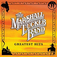 I Should Have Never Started Lovin' You - The Marshall Tucker Band