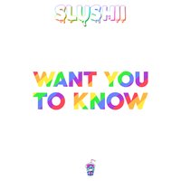 Want You to Know - Slushii