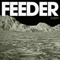 Purify - Feeder