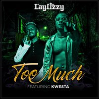 Too Much - Laylizzy, Kwesta