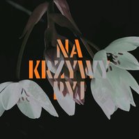 Na Krzywy Ryj - Mikromusic