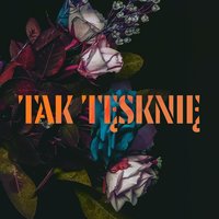 Tak Tęsknię - Mikromusic