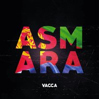 Asmara - Vacca