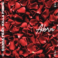 Adorm - Damia