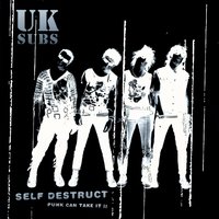 Police State - UK Subs