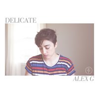 Delicate - Alex G
