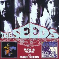 Gypsy Plays His Drums - The Seeds