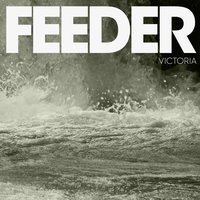 Victoria - Feeder