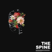 The Spine - badXchannels