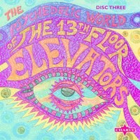 Rose and The Thorn - Original - The 13th Floor Elevators