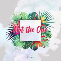 Not the One - Kaii Dreams