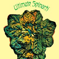 PLASTIC RAINCOATS/HUNG UP MINDS - Ultimate Spinach