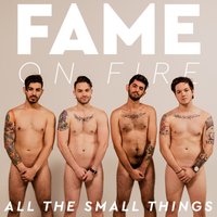 All the Small Things - Fame on Fire