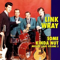 And I Love Her - Link Wray