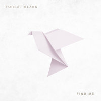 Find Me - Forest Blakk