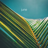 June - The Foreign Exchange