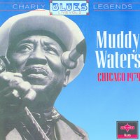 Everythings Gonna Be Alright - Live - Muddy Waters