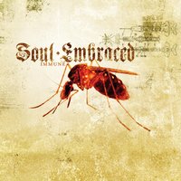 Someone Just Walked Across My Grave - Soul Embraced