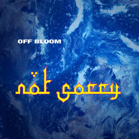 Not Sorry - Off Bloom