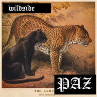 Wildside - PAZ, Kimberly Cole