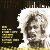 Can't Stop Loving You - Tina Turner