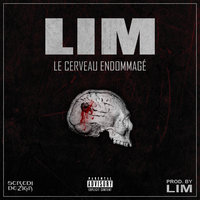 Le cerveau endommagé - Lim