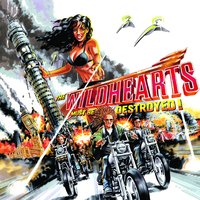 Nexus Icon - The Wildhearts