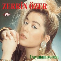 Dayanamıyorum - Zerrin Özer