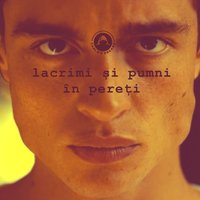 Lacrimi Si Pumni In Pereti - Carla's Dreams