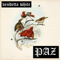 Vendetta White - PAZ, Birds of New York