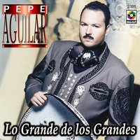 Amigo Organillero - Pepe Aguilar