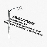 Underneath the Streetlights in the Winter Outside Your House - Wallows