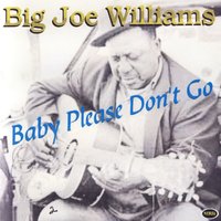 Everybody's Blues - Big Joe Williams