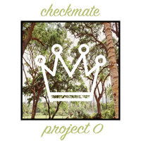 Checkmate - project 0