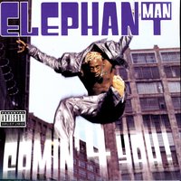 What's Up? - Mr. Vegas, Elephant man