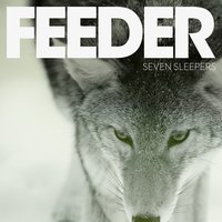 Seven Sleepers - Feeder