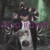 Acid Ronin - Sace Snake