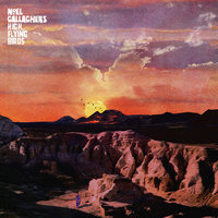 Alone On The Rope - Noel Gallagher's High Flying Birds