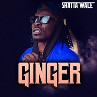 Ginger - Shatta Wale