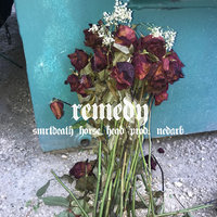 Remedy - Smrtdeath, Horse Head