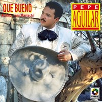 Ahorita Me Voy - Pepe Aguilar