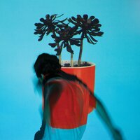 Fountain of Youth - Local Natives