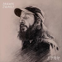 I Try - Shawn James
