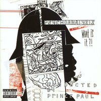 The World's a Stage (A Dramady) - Prince Paul