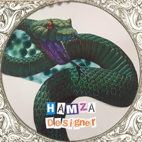 Designer - Hamza